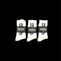 Prevail Worldwide Brand Socks